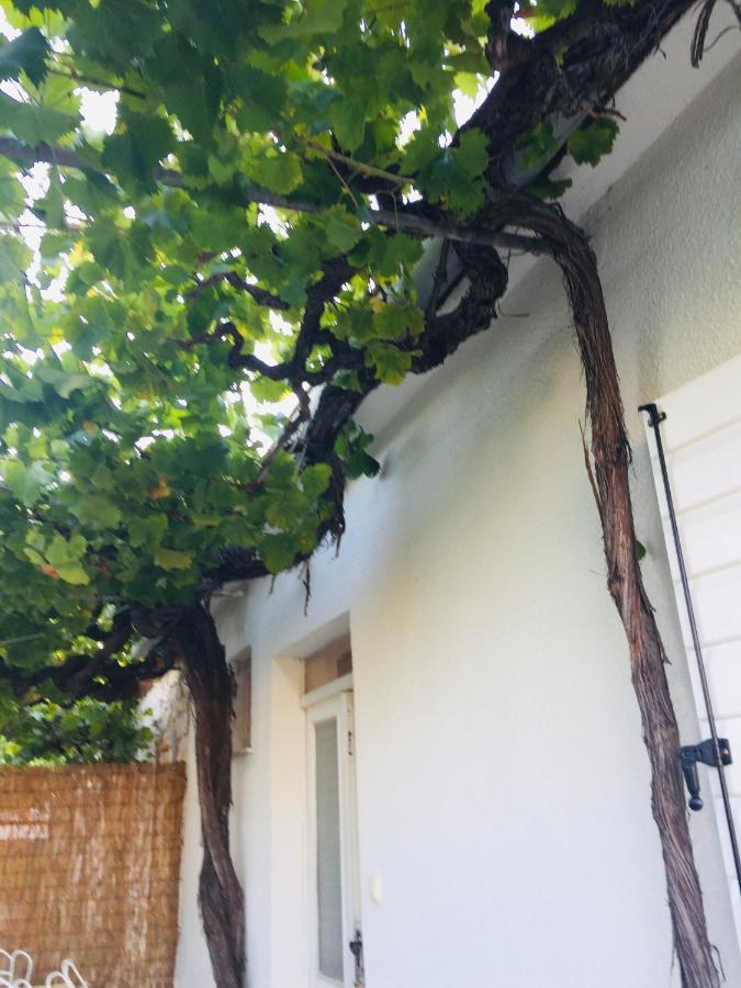 Holiday Home Casa Bianca Sukošan Zewnętrze zdjęcie
